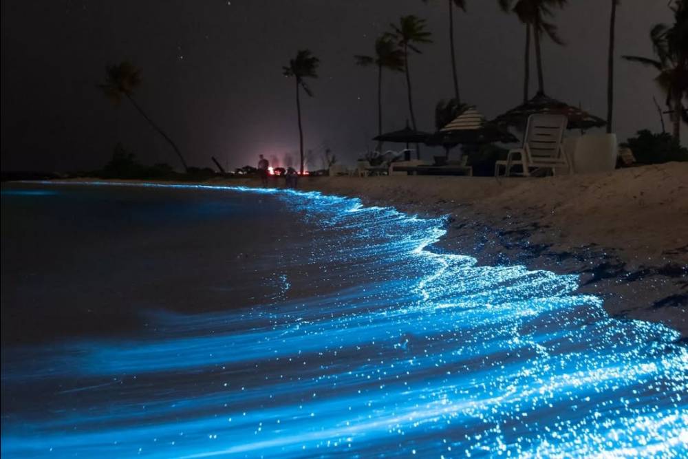Il fenomeno del Plancton Luminoso a Koh Rong